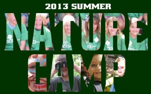 naturecamp postcard