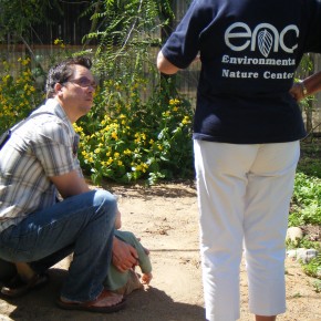Become a Butterfly House Docent!