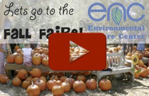 Watch our short Fall Faire video!