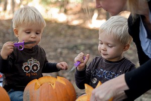 Pumpkin Carving
