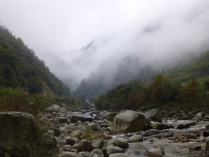 P1000037