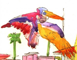 BA-07-pelicanone (Large) (Small)