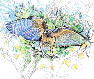 img217 (Small) (Small)