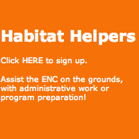 Habitat helpers