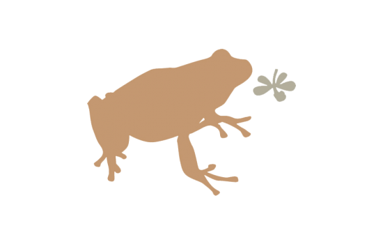 frog-supporter