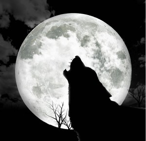 fullmoon