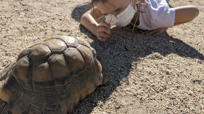 After School Nature Camp_2