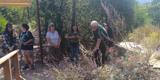 Native Plant Uses Herb William Broen