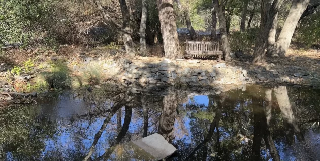 Tucker Pond