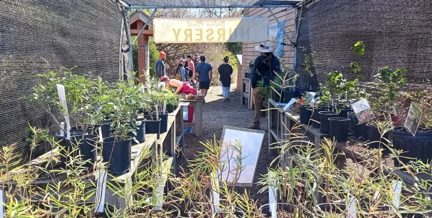 ENC-offers-native-plant-sale.jpg-3.28