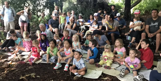 Reading in the redwoods