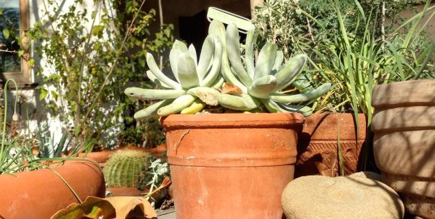 IMG_20180206_143048267_HDR