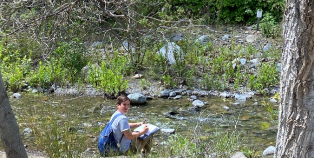 Sketching Journaling Button