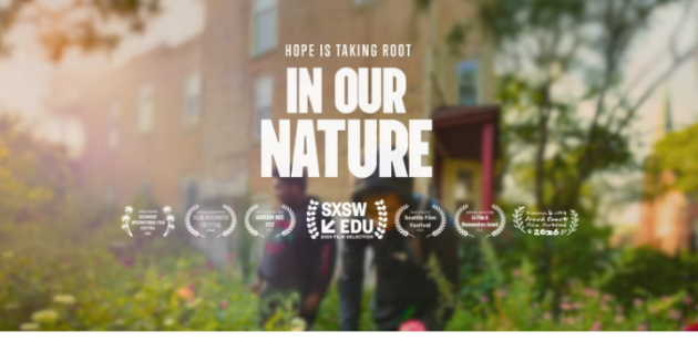 Movie Screening Button