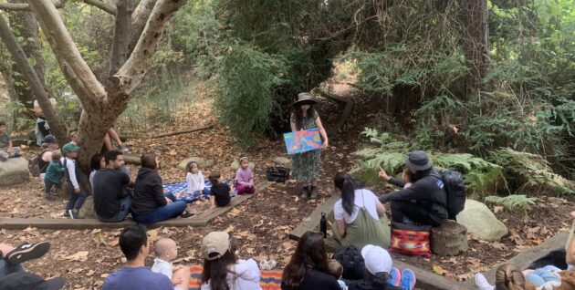 Reading in the redwoods RiR Kass great pic